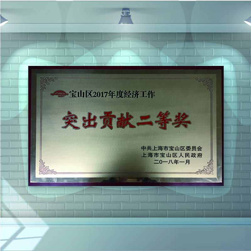 寶山區年度經(jīng)濟工作突出貢獻二等獎
